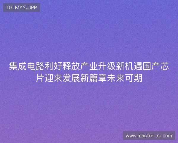 集成电路利好释放产业升级新机遇国产芯片迎来发展新篇章未来可期